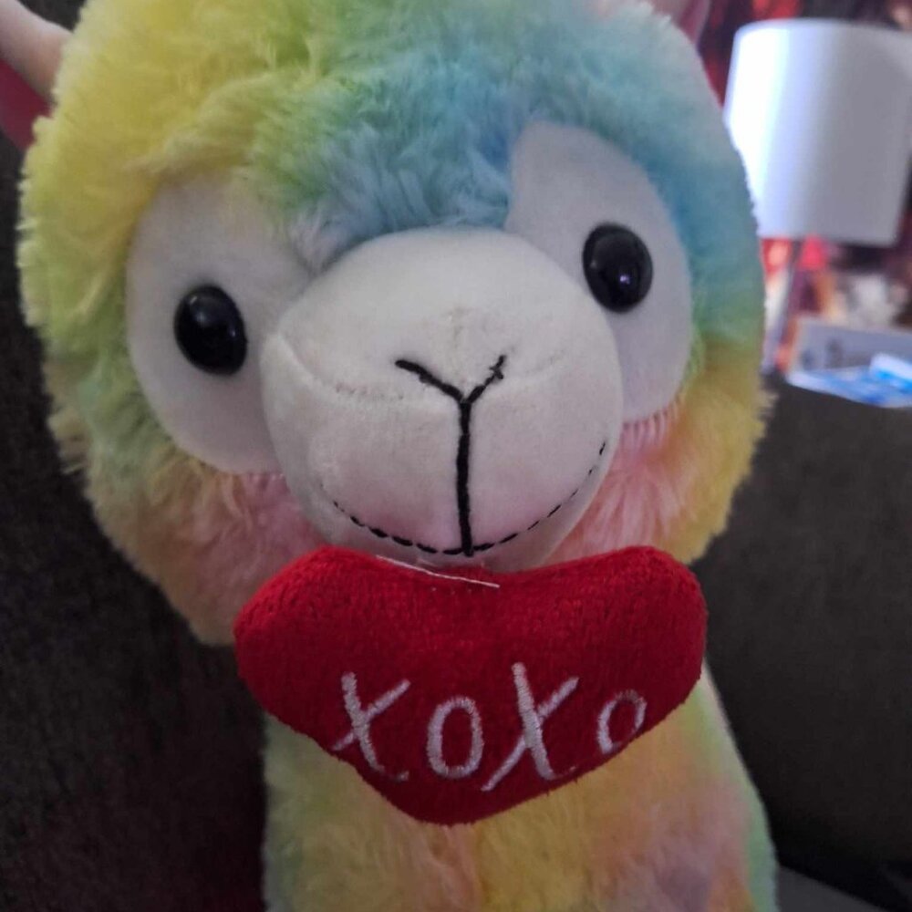 Rainbow Colored Llama Plush xoxox